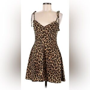 Zara Leopard Print Mini Dress